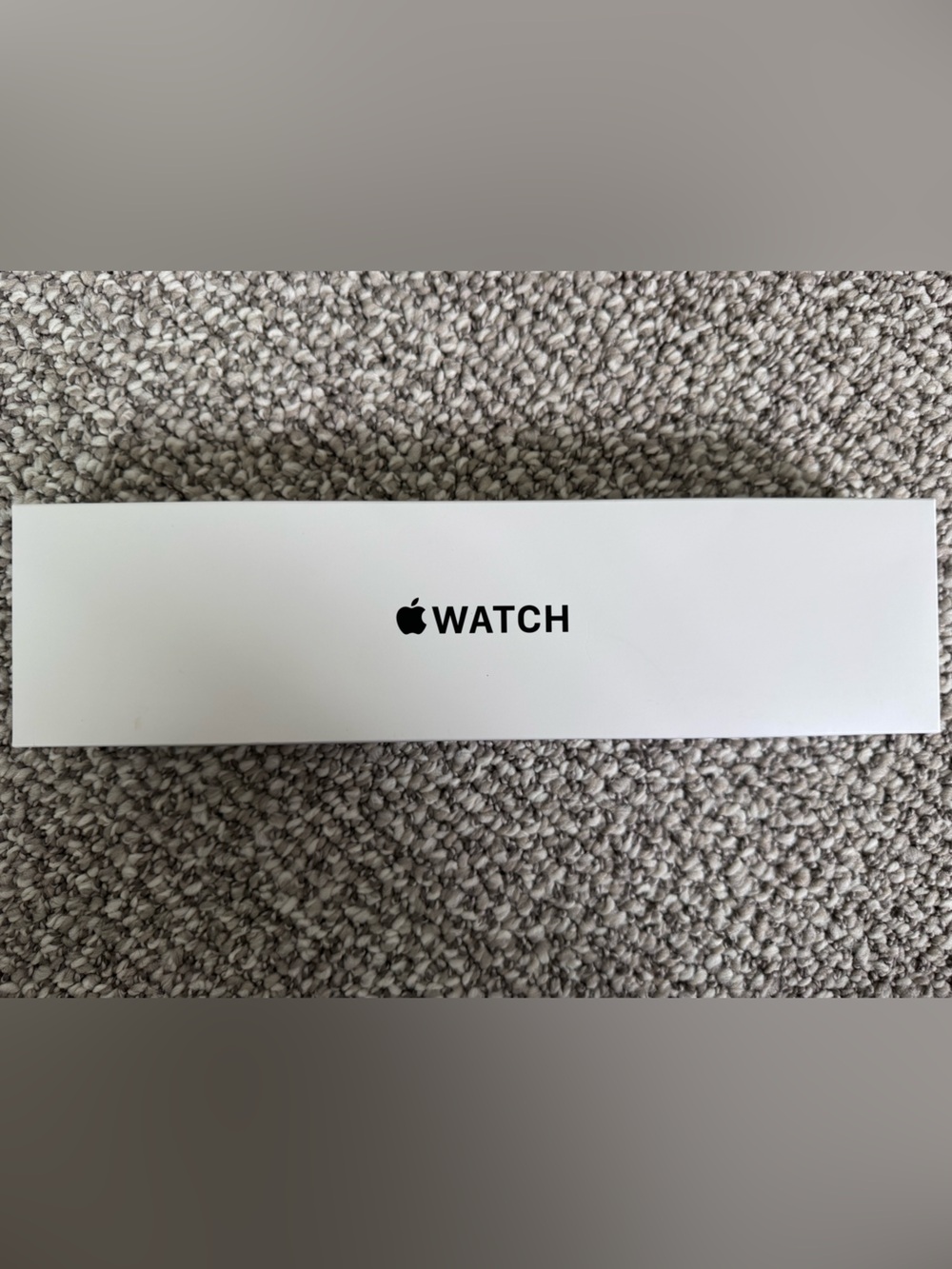 Apple Space Gray Watch in White Retail Tray